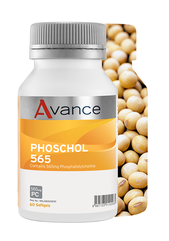 PhosChol 565 ingredients