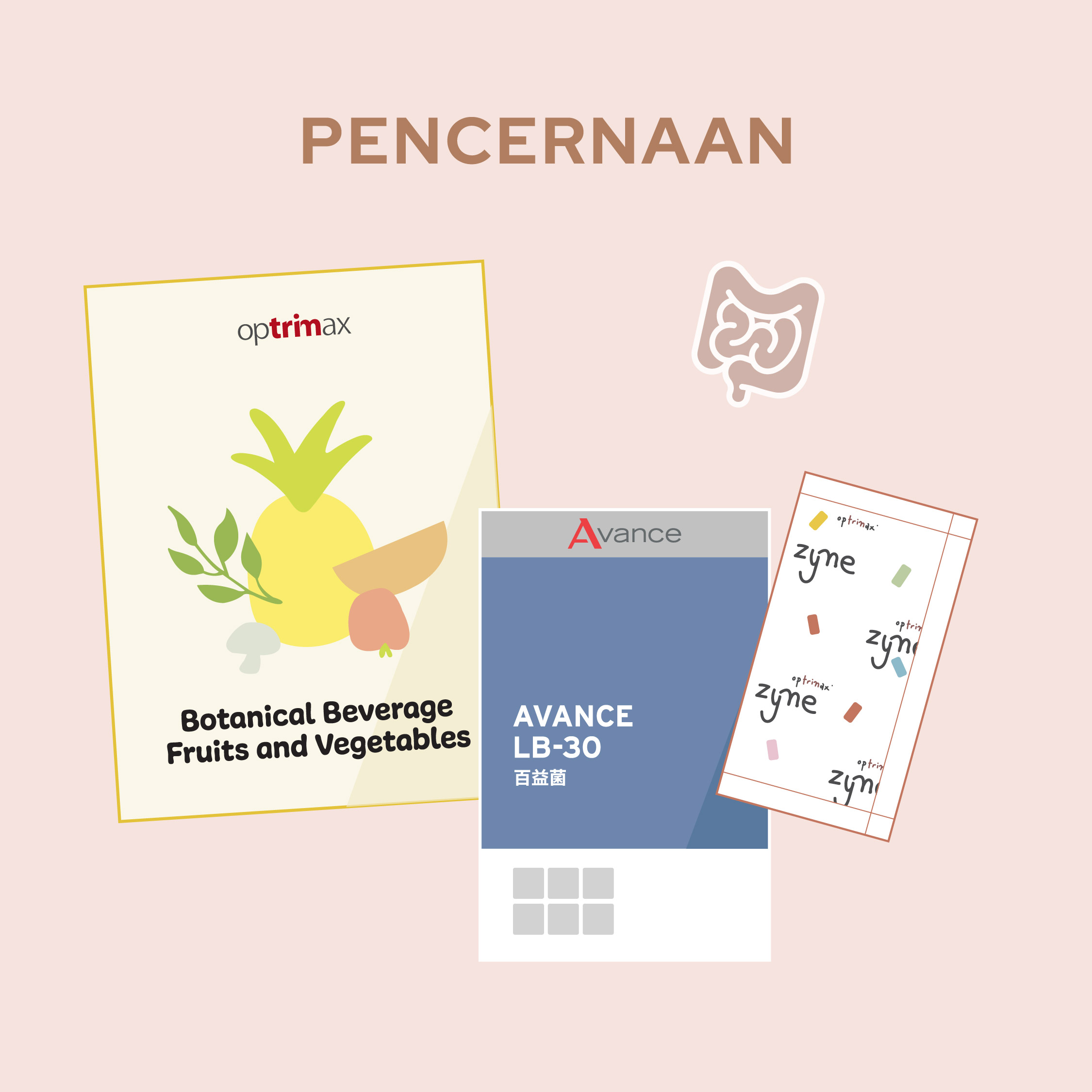 Pek Pencernaan